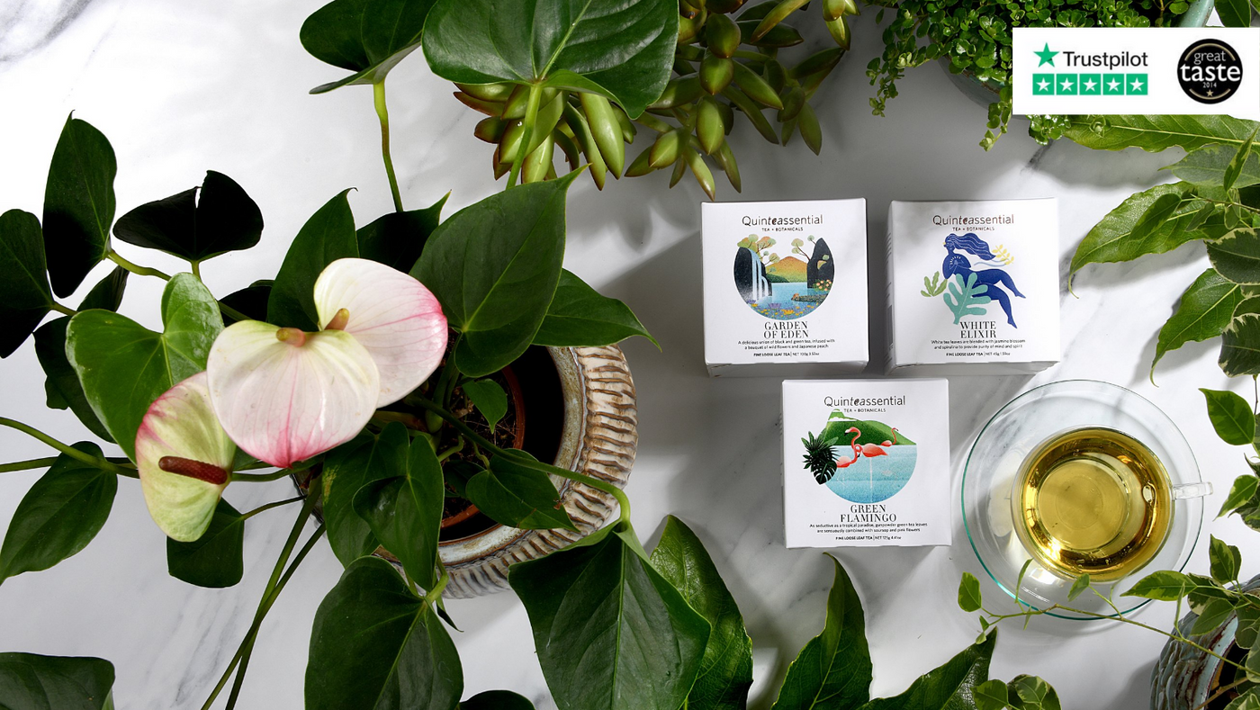 Quinteassential Fine Teas | Buy Loose Leaf Tea & Teabags | Unique Tea