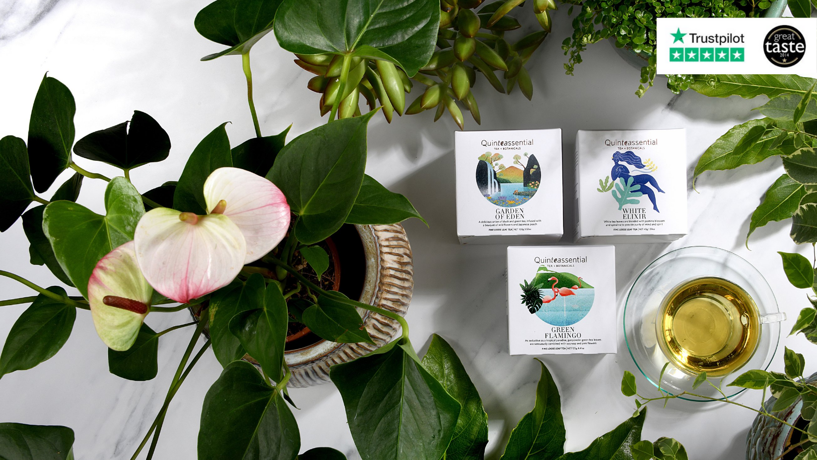 Quinteassential Fine Teas | Buy Loose Leaf Tea & Teabags | Unique Tea